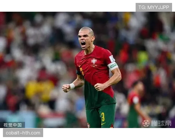 佩佩本赛季防守数据表现稳健，拦截与抢断效率持续提升