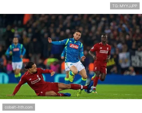 范迪克家的狗都吃有机牛肉？